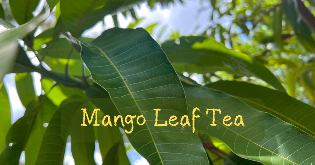mango leaves, mango tea